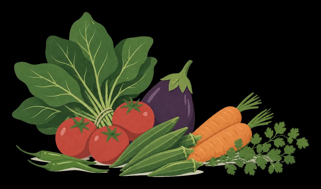 Illustration of everyday vegetables: spinach, tomatoes, brinjal, okra, carrots, green chillies and coriander