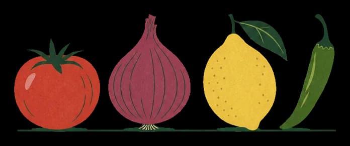 Illustration of a tomato, onion, lemon and chilli lined up